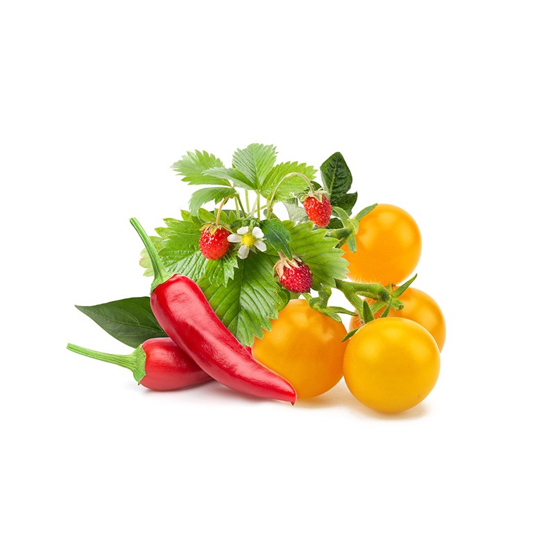 Espécies de la Mezcla de Frutas y Verduras Click and Grow